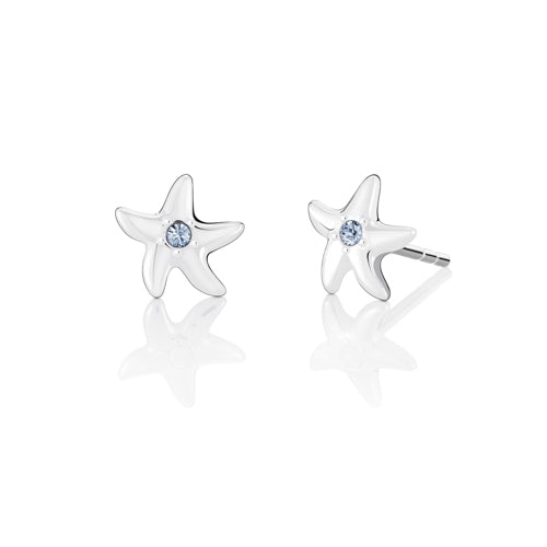 Petite Starfish Earrings - 1311-0136